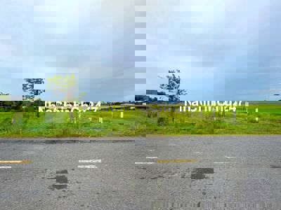 2,56 TỶ CHÍNH CHỦ BÁN GẤP LÔ ĐẤT 2 MẶT TIỀN – BÌNH CHÁNH, BANK HỖ TRỢ