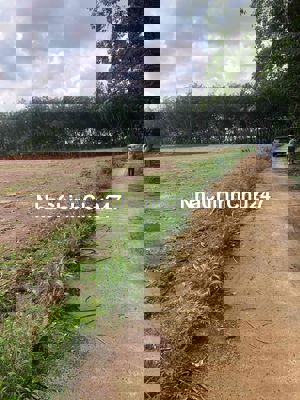Bán đất 2 mặt tiền,quy hoạch ont và qh khu công nghiệp Long Tân