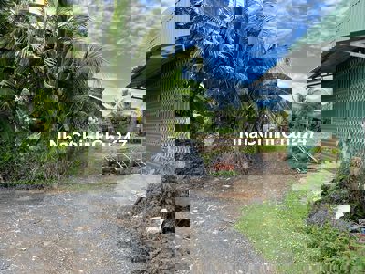 CHỦ BÁN ĐẤT THANH KHOẢN NHANH,SHR,1TỶ55,GẦN UBND XÃ CẦN ĐƯỚC,DT135M2