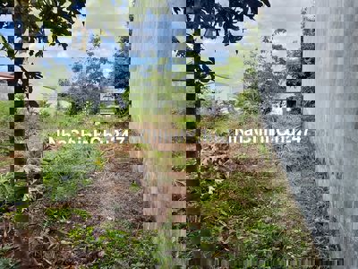 Bán đất chính chủ cuối Ymoan rẻ trái