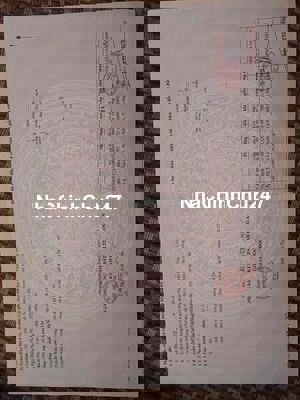 Chủ kẹt bán lỗ lô đất 200m2 Bàu Sen,Đức Hoà,Giá Chỉ 950tr