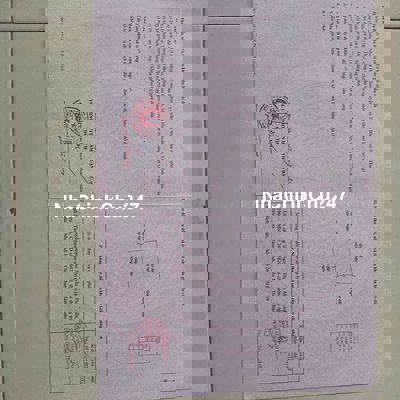 cần bán 3 xào đất cây trồng lâu năm