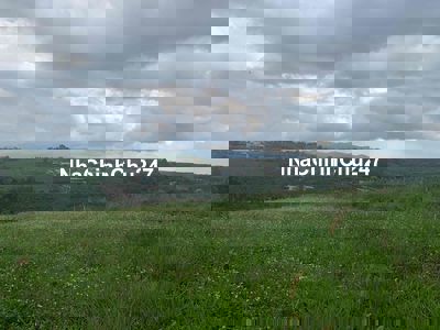 Chủ Cắt Lỗ Cần Bán Nhanh Hẻm Nguyễn Viết Xuân. đambri, Tp.Bảo Lộc