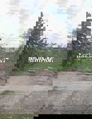 Đất thật tìm chủ thật nền 110m2 SHR - Tân Liêm, Phong Phú, Bình Chánh