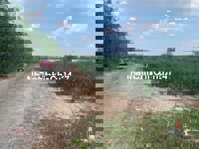 Chủ Ngộp Cần bán Gấp 1150m2  sát khu du lịch giá 290 triệu