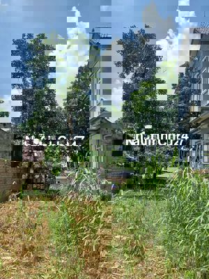 Đất sổ đỏ 427m2 số 38 Tây Vị, Thanh Mỹ, Sơn Tây