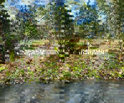 Bán 2 hecta đất vườn view suối làm trang trại tại Định Quán, Đồng Nai