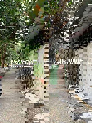 Chủ gửi nhà đường 48HBC THỦ ĐỨC ( 1600)