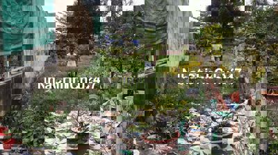 CHÍNH CHỦ bán đất Bình Trưng Đông 124m2