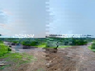 Bán ddaa50m x 50m đất thổ cư Tân Hà, Hàm Tân giá rẻ 45tr/m ngang