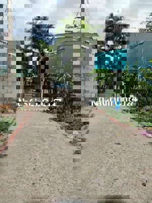 Chủ bán gấp đất nền 114m2 tại Phan Văn Hớn, 1,9 tỷ giá tốt, Sổ riêng