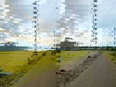 Chủ cần tiền cắt lỗ lô đất mặt tiền đường Số 15 Hòa Long 219m2/ 1,8 tỷ