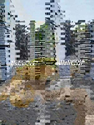 Đất Tân Thông Hội củ Chi
Đt 5x23 cách quốc lộ 22 chỉ 50m
Giá 2ty050 LH