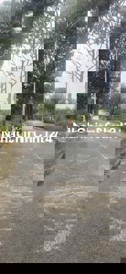 BÁN GẤP LÔ ĐẤT .Thổ cư.KDC Vĩnh Phú 1 hiện hữu.Hỗ trợ vay NH