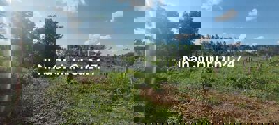 Bán đất rẫy xã Iablu, huyện chupuh ,tỉnh gia lai 350tr cho 6 xào