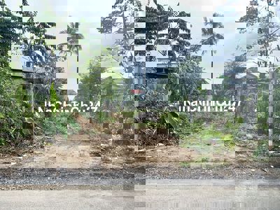 Gia đình có việc cần tiền nên bán gấp lô đất 613m2, đường đẹp nhưa,shr