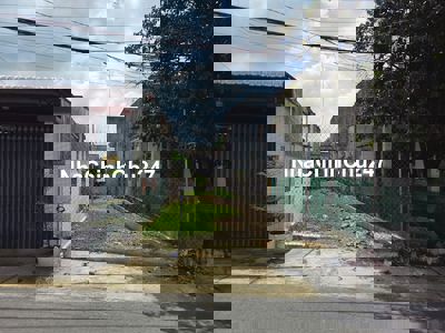 Bán Đất Mặt Tiền Trần Thị Cẩm DT 80m²(4x20) Full thổ giá 470 triệu,SHR