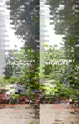 🏡 CHÍNH CHỦ CẦN BÁN 2 LÔ ĐẤT VÀNG 100M² TẠI TRUNG TÂM NGŨ HÀNH SƠN – Đ