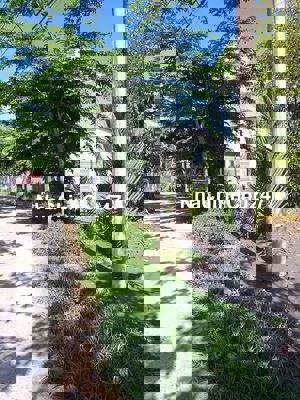 Đất mặt tiền đường liên ấp 2-3 chính chủ cần bán!