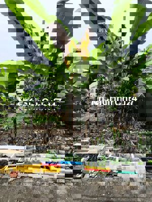 Chủ cần bán lô đất Khu Dự Án, hướng Nam, khu yên tĩnh mát mẻ sạch đẹp.