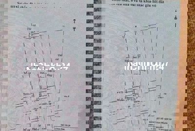 Đất hẻm khu phân lô, 95,2 m2, 5,5x19m, hẻm 6,5m xe hơi, đường số 59