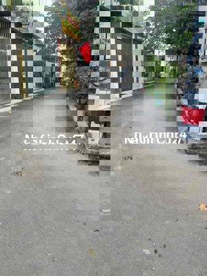 BÁN ĐẤT GẦN PHẠM VĂN ĐỒNG LINH TÂY THỦ ĐỨC