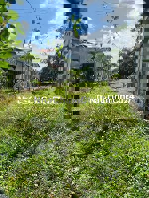 BÁN ĐẤT TÂN THÔNG HỘI 173M2 – MT Đ.SỐ 3, CÁCH QL22 CHỈ 300M – 1,2 TỶ