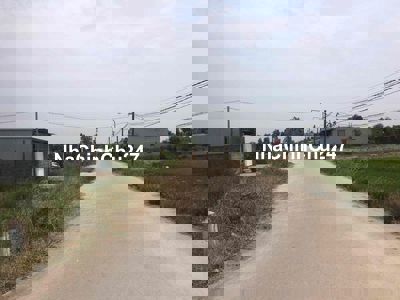 CHÍNH CHỦ bán 2 nền thổ cư 150m2/nền tại Phước Đông, Cần Đước, Long An