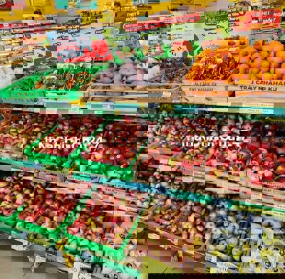 Chủ gửi bán lô MTĐ Nguyễn Văn Tạo,Hiệp Phước,Nhà Bè,HCM,DT 100m2, SHR