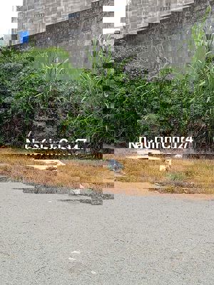 Ông chú cần bán lô Mtđ Nguyễn Văn Tạo, Hiệp Phước,Nhà Bè, SHR,DT 100m2