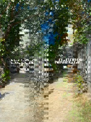 CHỦ CẦN TIỀN NÊN BÁN LÔ ĐIỆN NAM ĐÔNG ĐƯỜNG OTO DÂN CƯ ĐÔNG ĐÚC.