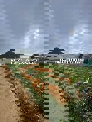 Đất ĐẸP GIÁ TỐT Chính Chủ Bán 10 Lô Đất Phường 12, TP Đà Lạt,Lâm Đồng