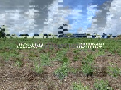 Đất nông nghiệp Xã Nam Dong, cách cầu 14 8km.