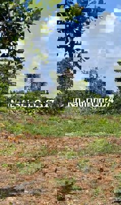 Chủ nhờ bán đất Định Hóa - Đồng Nai 240m - Ô tô vào đất nhỉnh  1.x  Tỷ