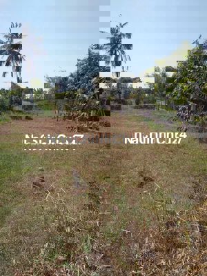 292m2 FULL THỔ CƯ CHỦ CẮT MÁU BÁN GẤP 900TR ĐẤT MT KDC HIỆN HỮU SHR