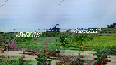 1,63 TỶ CHÍNH CHỦ BÁN NHANH LÔ ĐẤT ĐƯỜNG HƯNG NHƠN, XÃ TÂN KIÊN, SHR