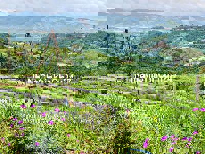 Chính chủ cần bán mảnh vườn 750m2 thổ 250m2