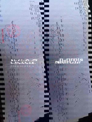 ĐẤT KIỆT CHÍNH 113 HOÀNG VĂN THÁI SẠCH ĐẸP