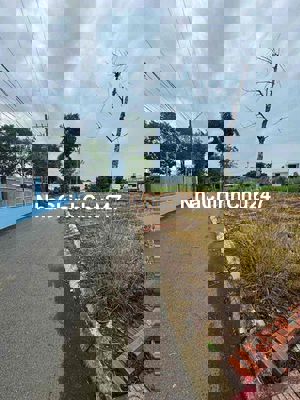 chủ gởi lô đất sông thao trảng bom giá đầu tư