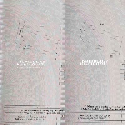 Bán đất nền chính chủ hẽm xe hơi p7 cặp hong trường mỹ hoá hẽm xe hơi