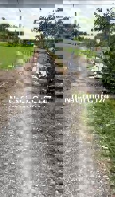 Đại hạ giá 3.000m đất nông nghiệp chỉ 3.6 tỷ