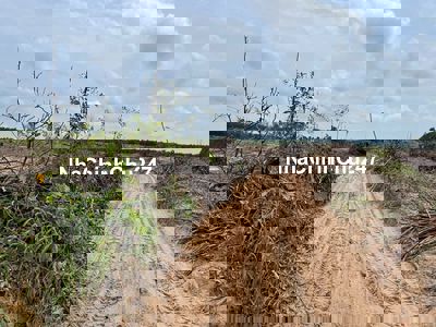 Bán 2014m2 đất 2 Tân Bình, thị xã LaGi giá rẻ nhất chỉ 900 triệu sổ