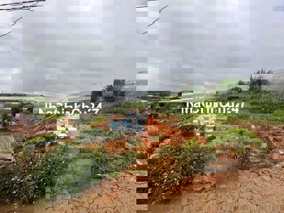 BÁN LÔ ĐẤT ĐƯỜNG OTO CÙ CHÍNH LAN ,PHƯỜNG 8 ,ĐÀ LẠT