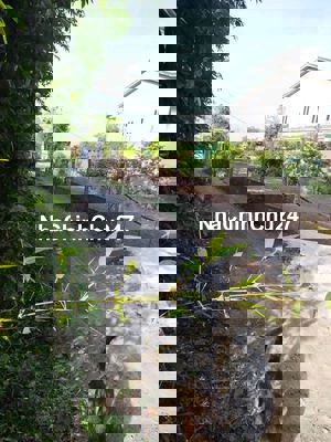 Đất mẹ cho cần bán gấp