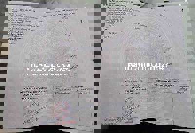 Đầm Sen Đường Thông Siêu Hiếm   Vị trí B2.136 Lô 80, 81 ( sạch đẹp