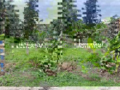 BÁN ĐẤT LONG AN CHÍNH CHỦ 1.67 TỶ, 172M2 - SHR BAO CHECK