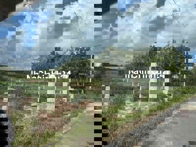 Đất thổ cư 300m2 đường 12