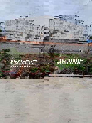 Bán 5 lô đất liền kề,hẻm ôtô vào đất,xã Thới Tam Thôn,DT:5 x 20 (99m2)