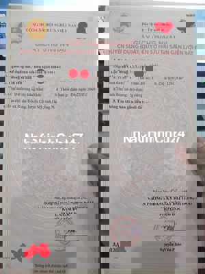 BÁN ĐẤT CẨM MỸ