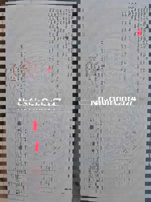 Bán đất thổ cư Cần Giuộc